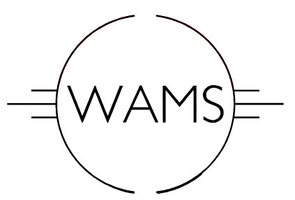 DS253 4 28wams logo
